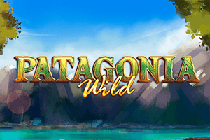 Patagonia Wilds